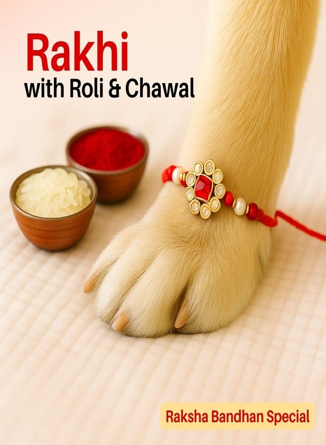 Sage Square Paw Bandhan Rakhi for Dog, Cat & Small Pets | Celebrate Bonds of Love This Raksha Bandhan | Cute Rakhi with Beads, Decorative Threads | Gift for Pet Lovers & Furry Companions (Type 20) - Image 3